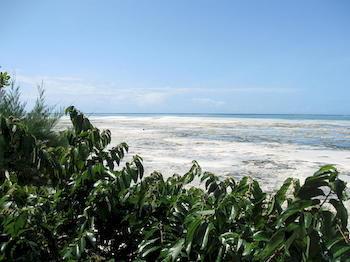 Zanzibar Rock Resort Pongwe Exterior foto