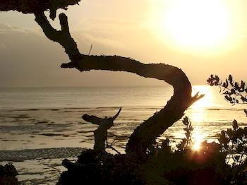 Zanzibar Rock Resort Pongwe Exterior foto